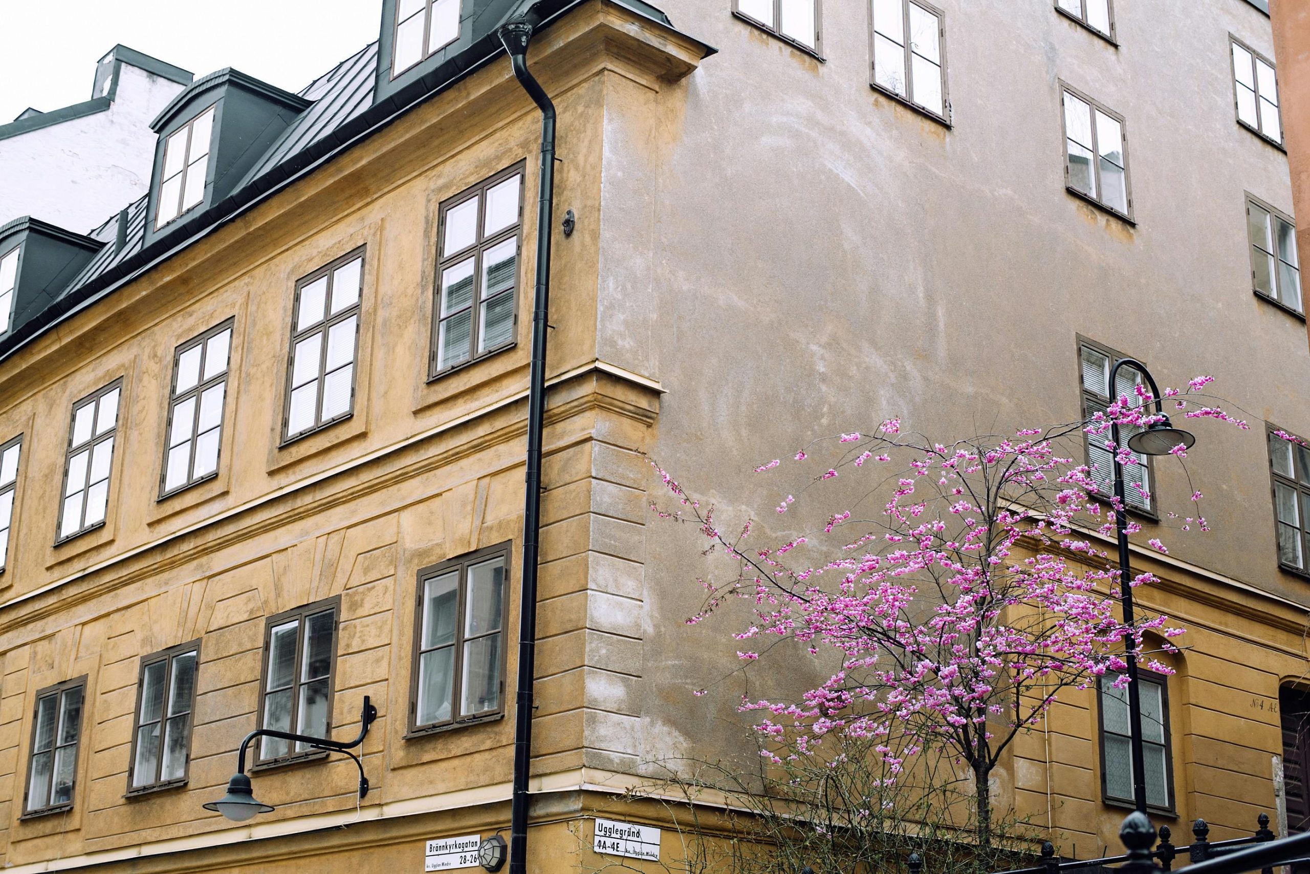 Bostadsbidrag